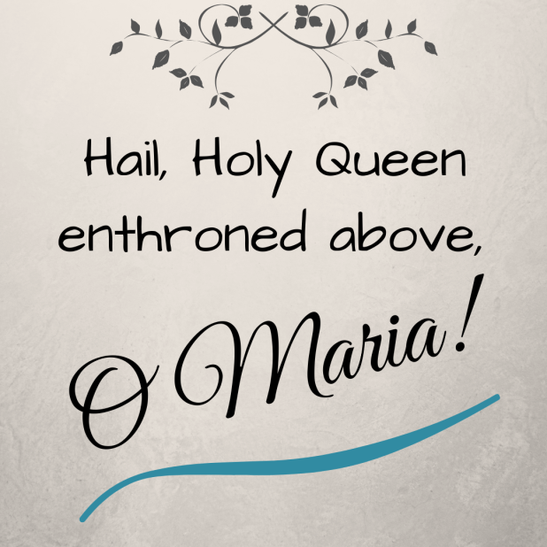 Mary My Queen Chapel Veil