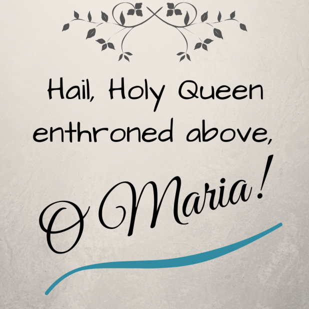 Mary My Queen Shoulder Length Chapel Veil