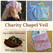 Charity Chapel Veil