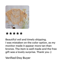 Mary My Queen Chapel Veil